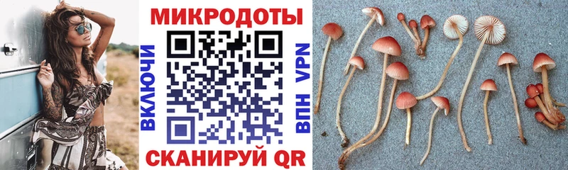 ссылка на мегу зеркало  Ужур  Галлюциногенные грибы Magic Shrooms 
